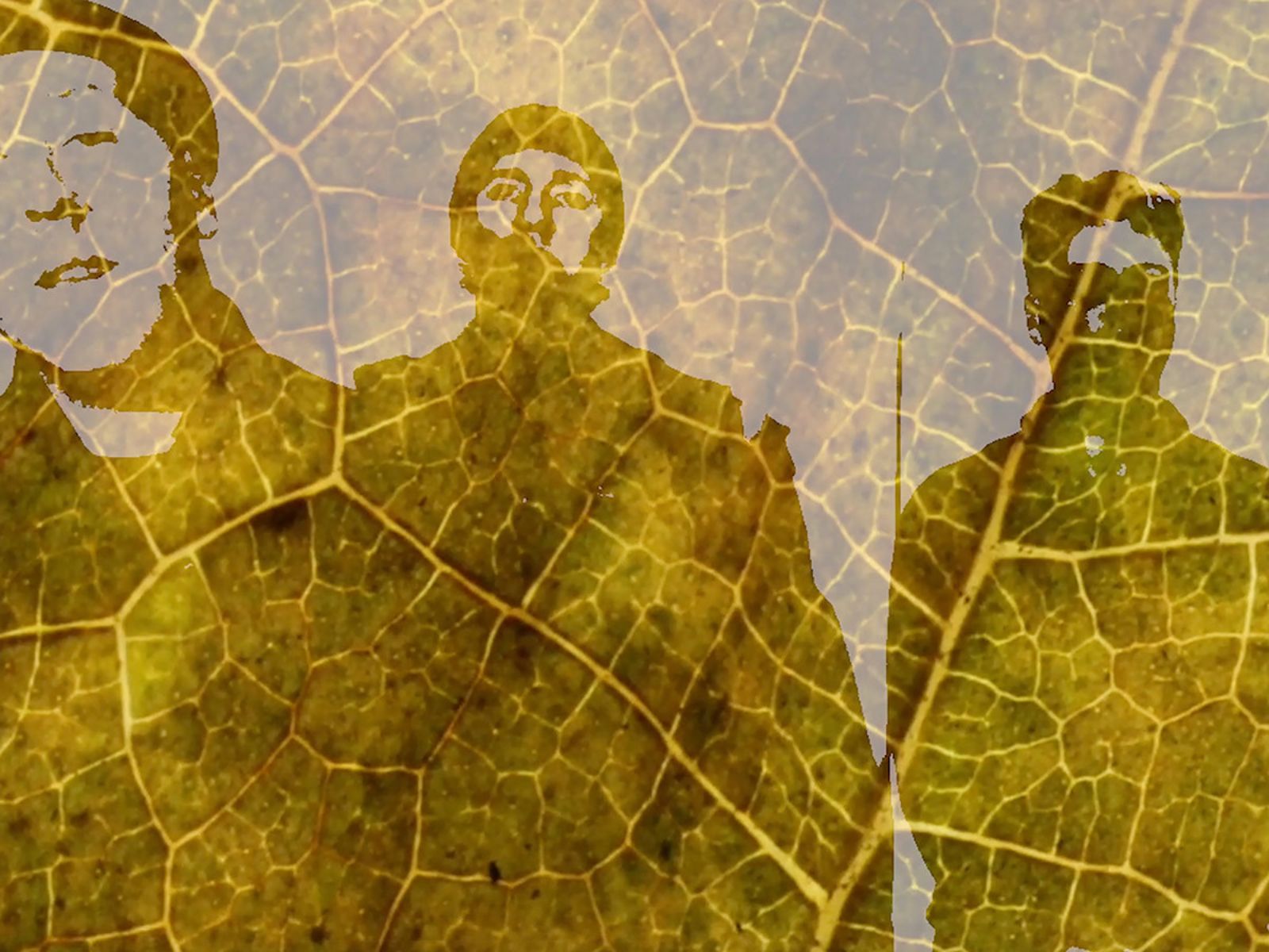 Peninsula Hot Springs — Spa + Wellbeing — Visit Mornington Peninsula